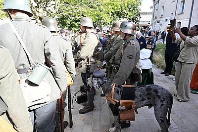 Agrandir l'image, fenêtre modale