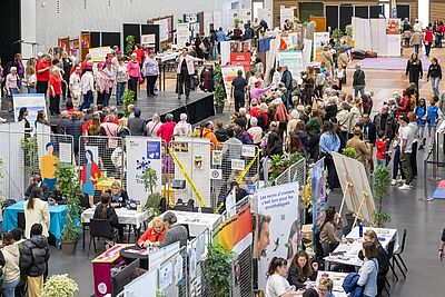 Agrandir l'image, fenêtre modale