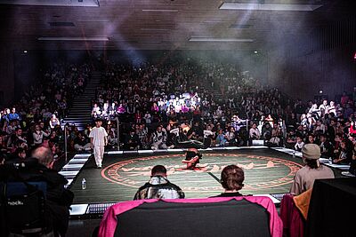 Agrandir l'image, fenêtre modale