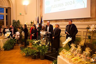 Agrandir l'image, fenêtre modale