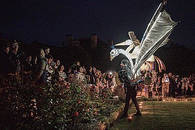 Agrandir l'image, fenêtre modale