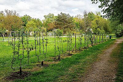 Agrandir l'image, fenêtre modale