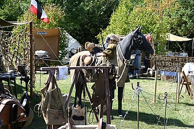 Agrandir l'image, fenêtre modale