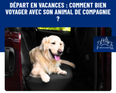 Agrandir l'image (fenêtre modale)