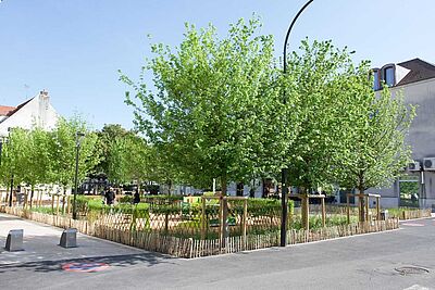 Agrandir l'image, fenêtre modale
