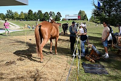 Agrandir l'image, fenêtre modale