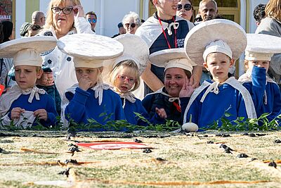 Agrandir l'image, fenêtre modale
