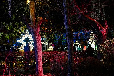 Agrandir l'image, fenêtre modale