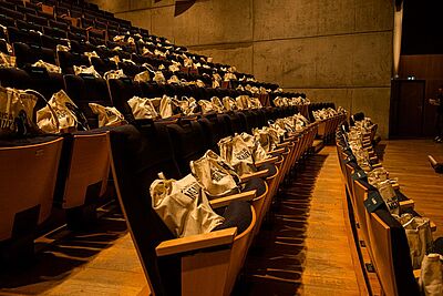 Agrandir l'image, fenêtre modale