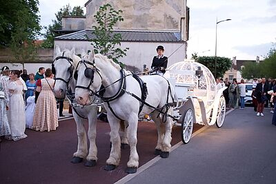 Agrandir l'image, fenêtre modale