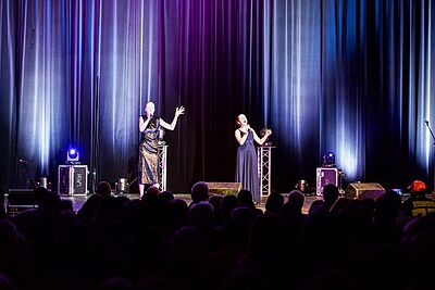 Agrandir l'image, fenêtre modale