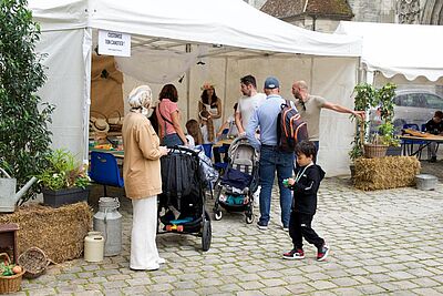 Agrandir l'image, fenêtre modale