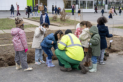 Agrandir l'image, fenêtre modale