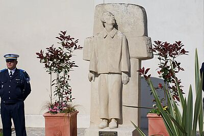 Agrandir l'image, fenêtre modale