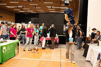 Agrandir l'image, fenêtre modale