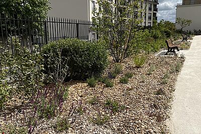 Agrandir l'image, fenêtre modale