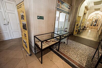 Agrandir l'image, fenêtre modale