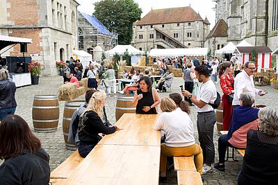 Agrandir l'image, fenêtre modale