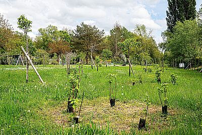 Agrandir l'image, fenêtre modale