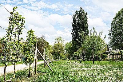 Agrandir l'image, fenêtre modale