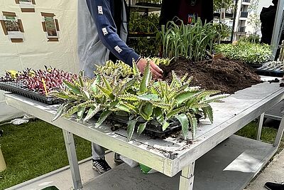 Agrandir l'image, fenêtre modale