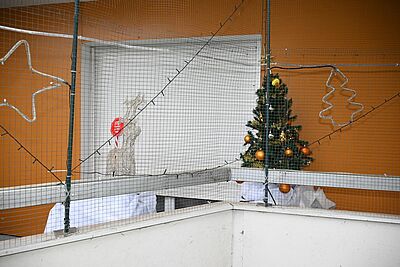 Agrandir l'image, fenêtre modale