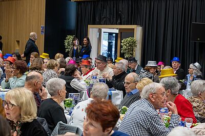 Agrandir l'image, fenêtre modale