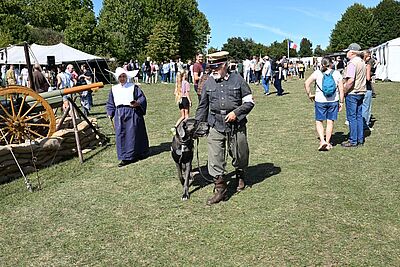 Agrandir l'image, fenêtre modale