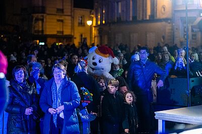 Agrandir l'image, fenêtre modale