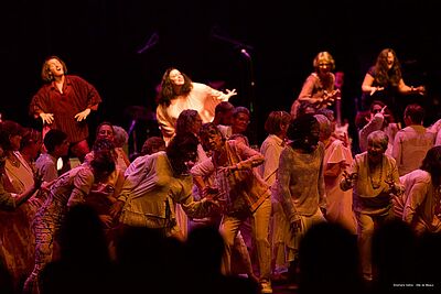 Agrandir l'image, fenêtre modale