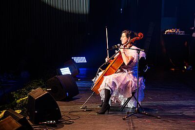 Agrandir l'image, fenêtre modale