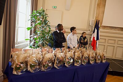 Agrandir l'image, fenêtre modale