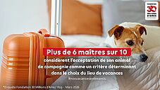 Agrandir l'image (fenêtre modale)