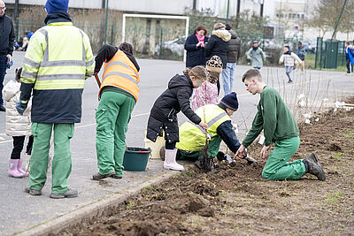 Agrandir l'image, fenêtre modale