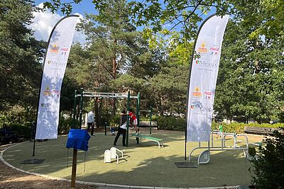 Agrandir l'image, fenêtre modale