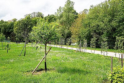 Agrandir l'image, fenêtre modale