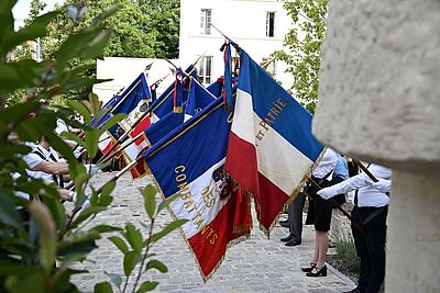 Agrandir l'image, fenêtre modale