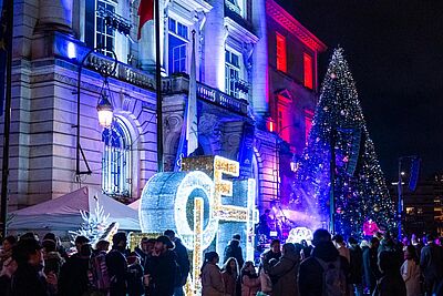 Agrandir l'image, fenêtre modale