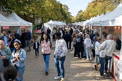 Agrandir l'image, fenêtre modale