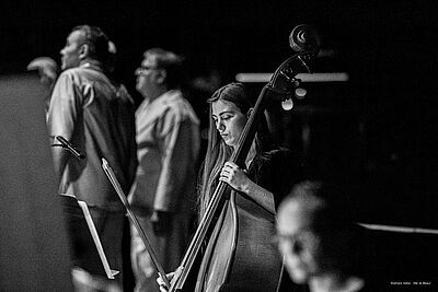 Agrandir l'image, fenêtre modale