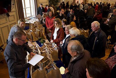 Agrandir l'image, fenêtre modale