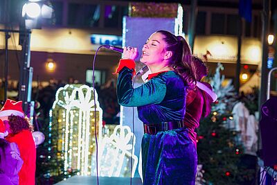 Agrandir l'image, fenêtre modale