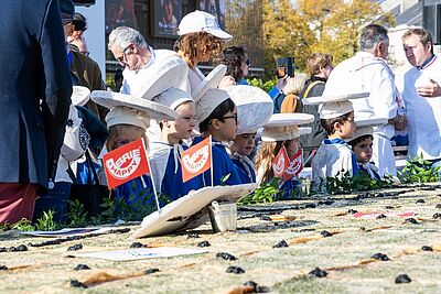 Agrandir l'image, fenêtre modale