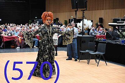 Agrandir l'image, fenêtre modale