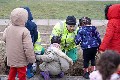 Agrandir l'image, fenêtre modale