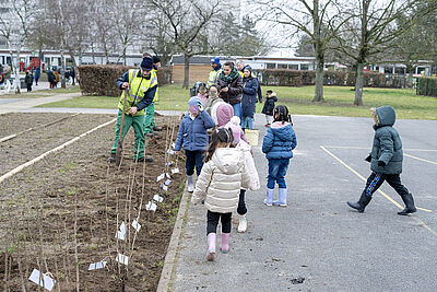 Agrandir l'image, fenêtre modale