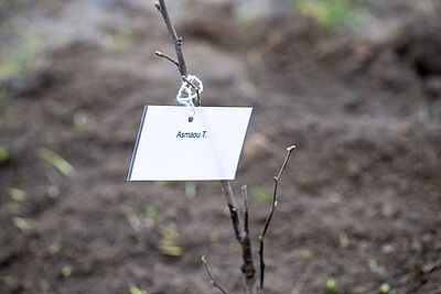 Agrandir l'image, fenêtre modale