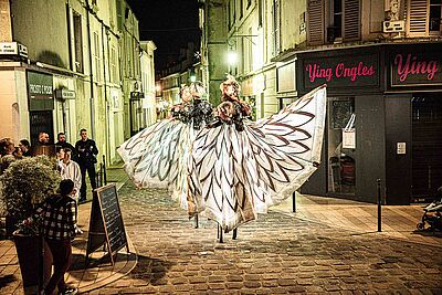 Agrandir l'image, fenêtre modale