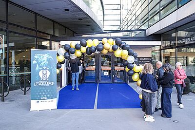 Agrandir l'image, fenêtre modale