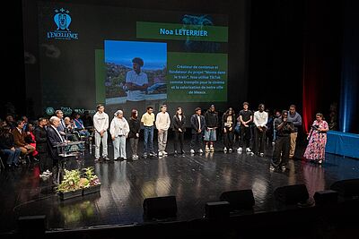 Agrandir l'image, fenêtre modale